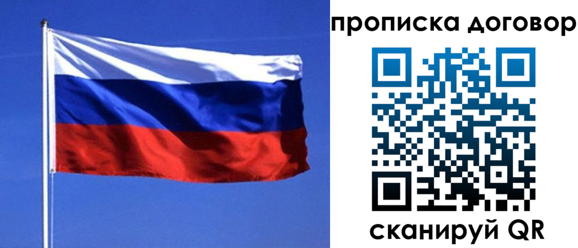 прописка поиск в Порхове